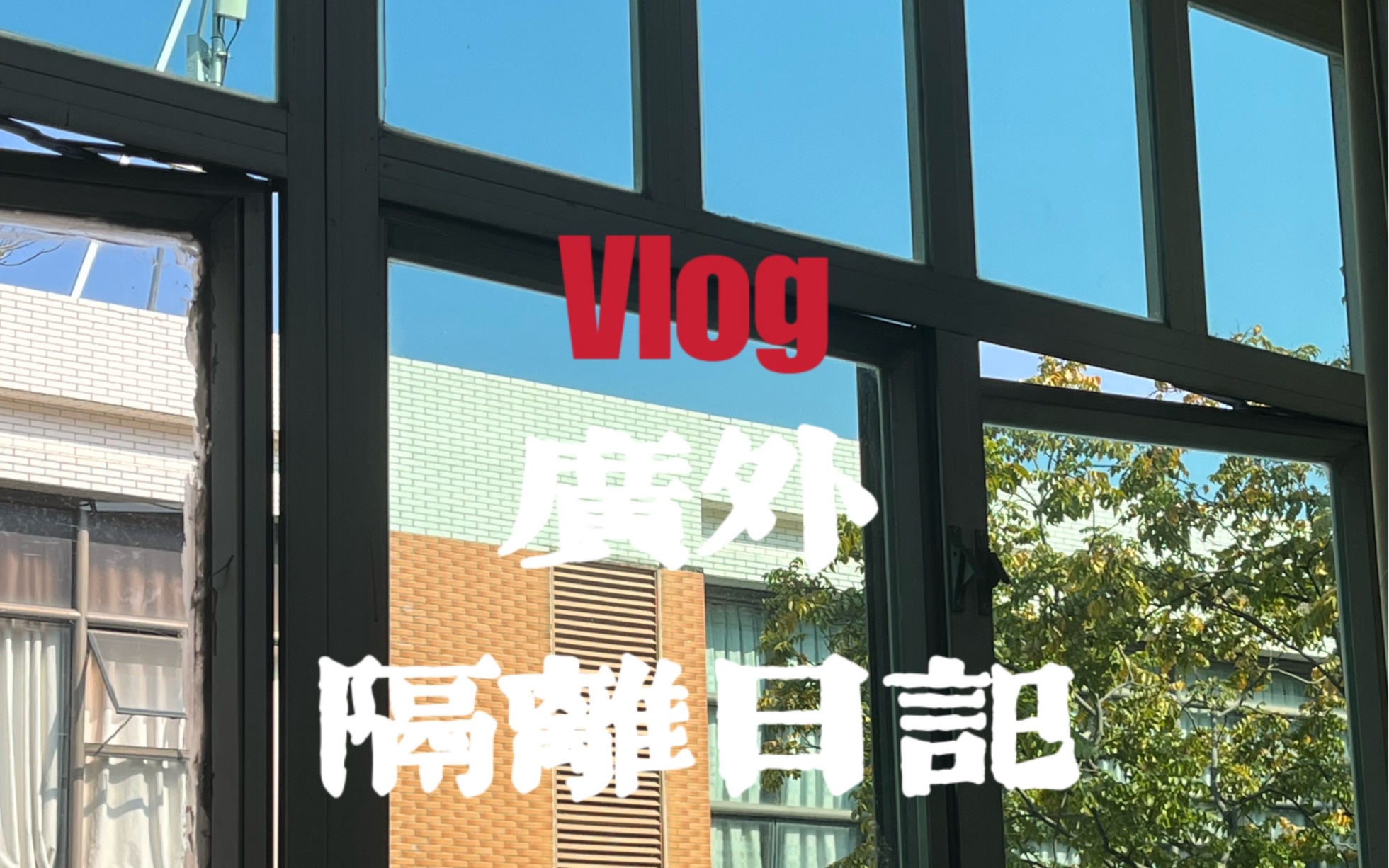 【广外】留学生宿舍单人间隔离日记哔哩哔哩bilibili