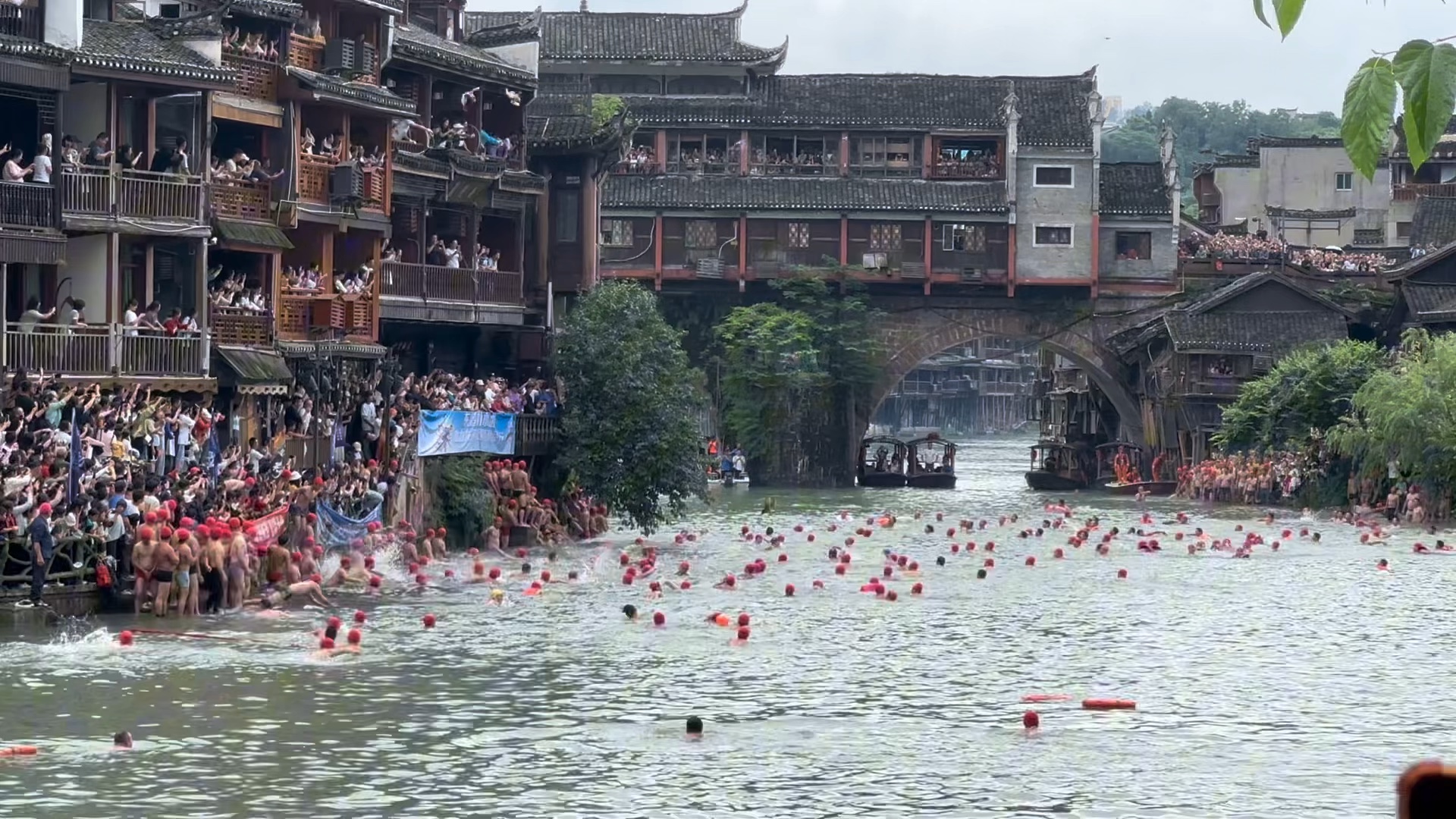 端午节在凤凰古城看抢鸭子比赛,沱江河中抢500只鸭子,太热闹哔哩哔哩bilibili