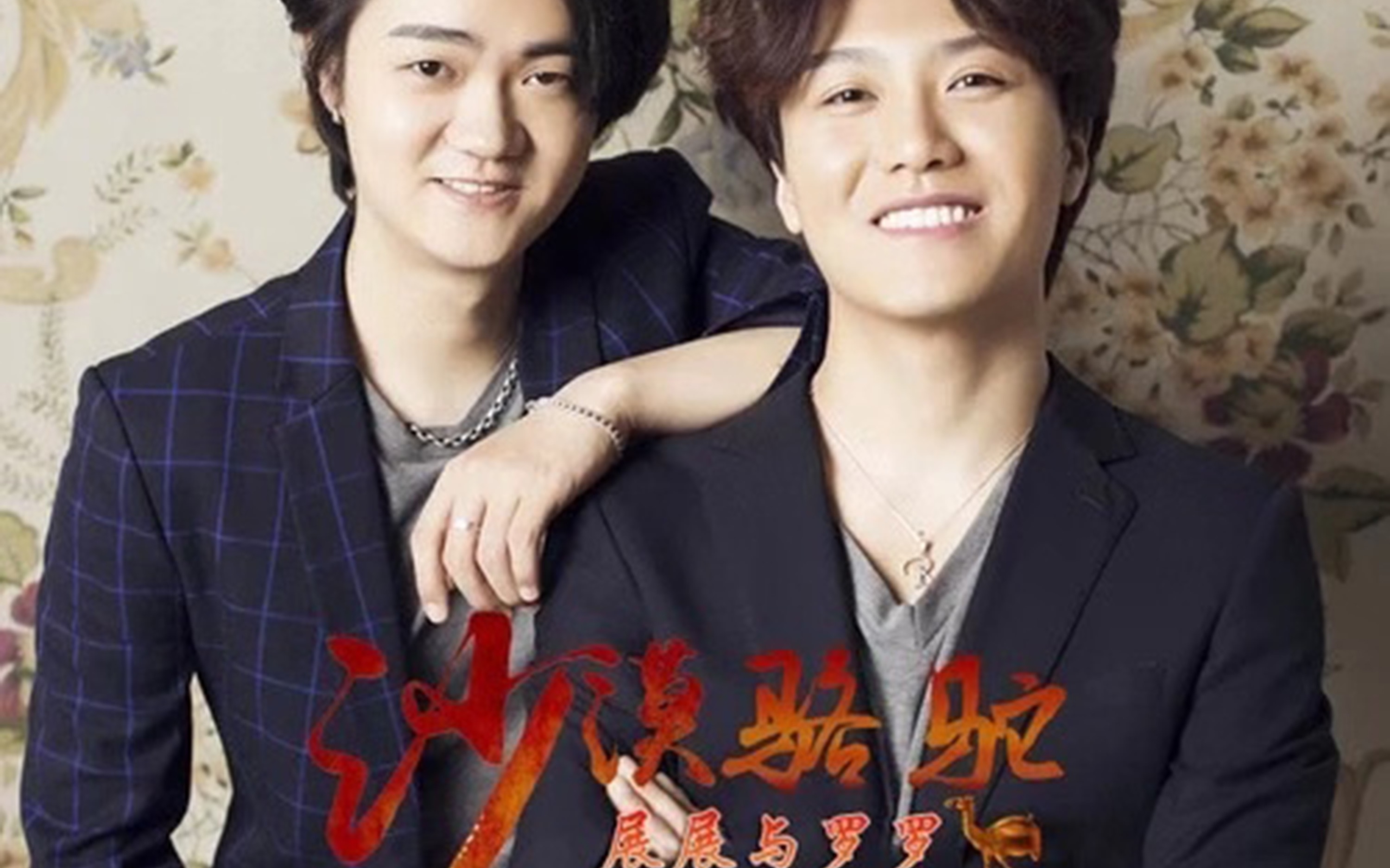 流水纪点评年度十大神曲 第三名 展展与罗罗《沙漠骆驼》