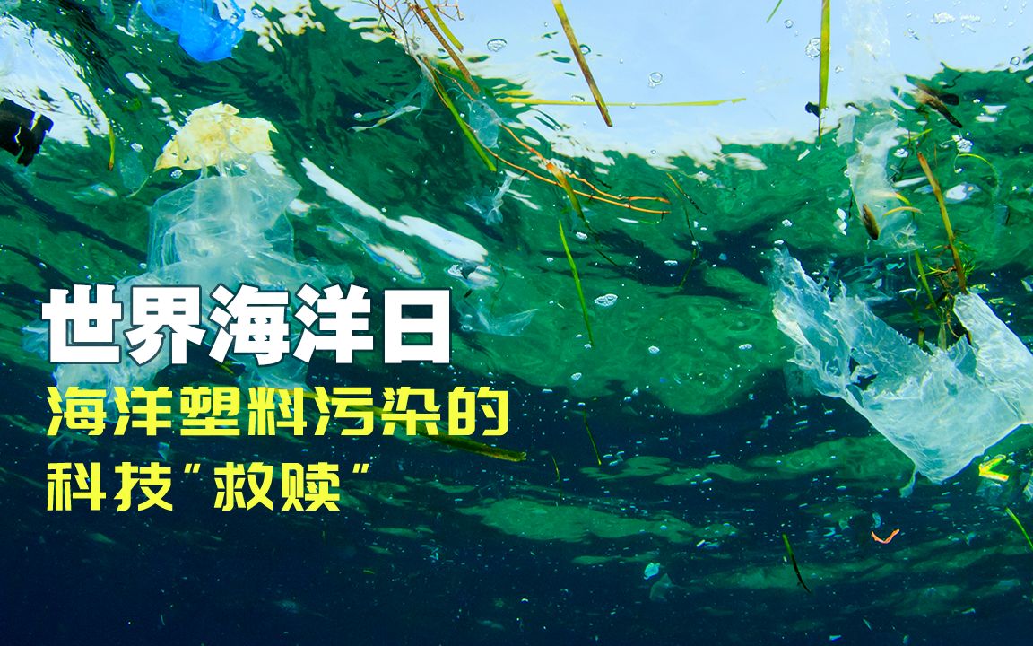 [图]实拍!“吃”塑料的海洋真菌被发现丨世界海洋日