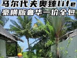 Descargar video: 天啊！我想住在这不走了！马代最豪横的一价全包奥臻岛！