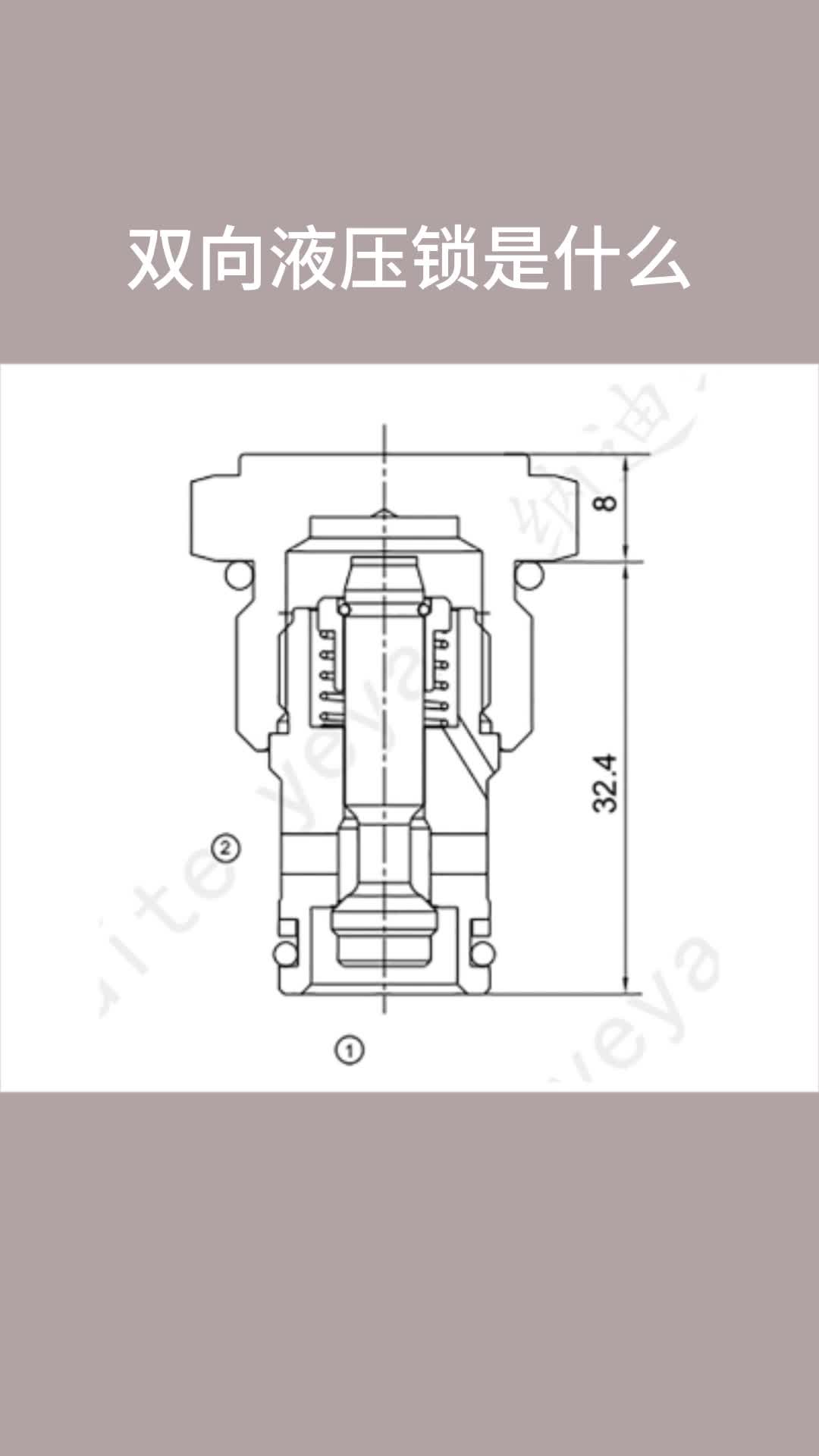 双向液压锁是什么哔哩哔哩bilibili