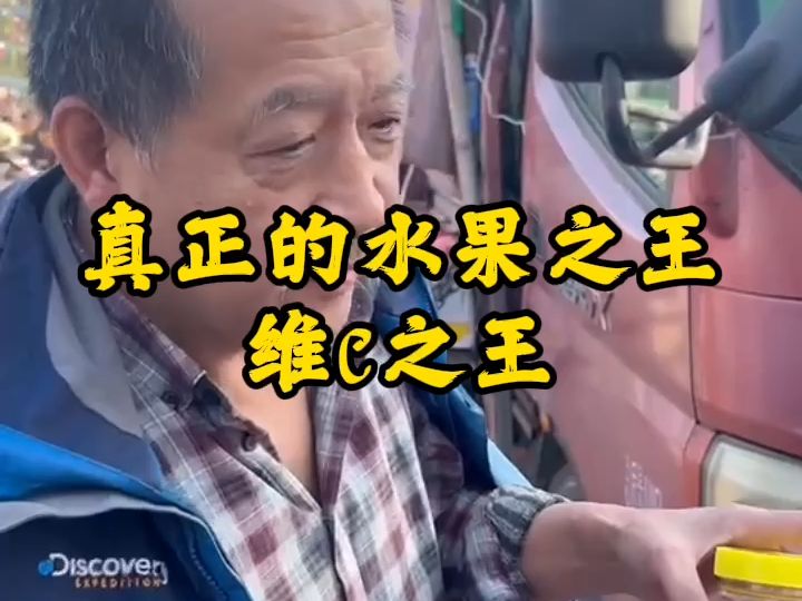 沙棘果才是真正的水果之王哔哩哔哩bilibili