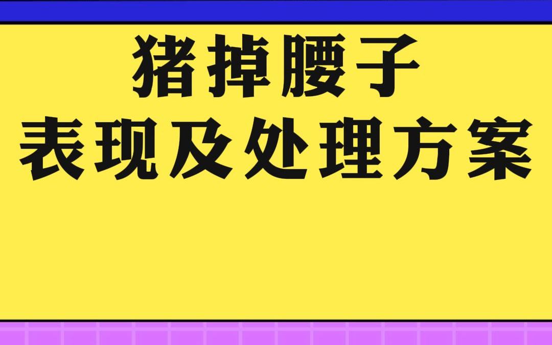 猪掉腰子—猪两条后腿分开拖地行走,不发烧.吃喝正常!发现要第一时间处理!#猪掉腰子 #猪后腿瘫痪 #猪后腿起不来怎么办 #猪病 #猪病防治哔哩哔哩...