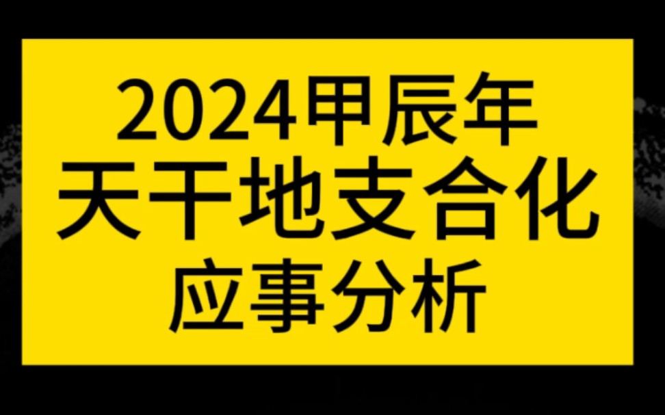 八字命理之2024年甲辰年合化应事分析哔哩哔哩bilibili