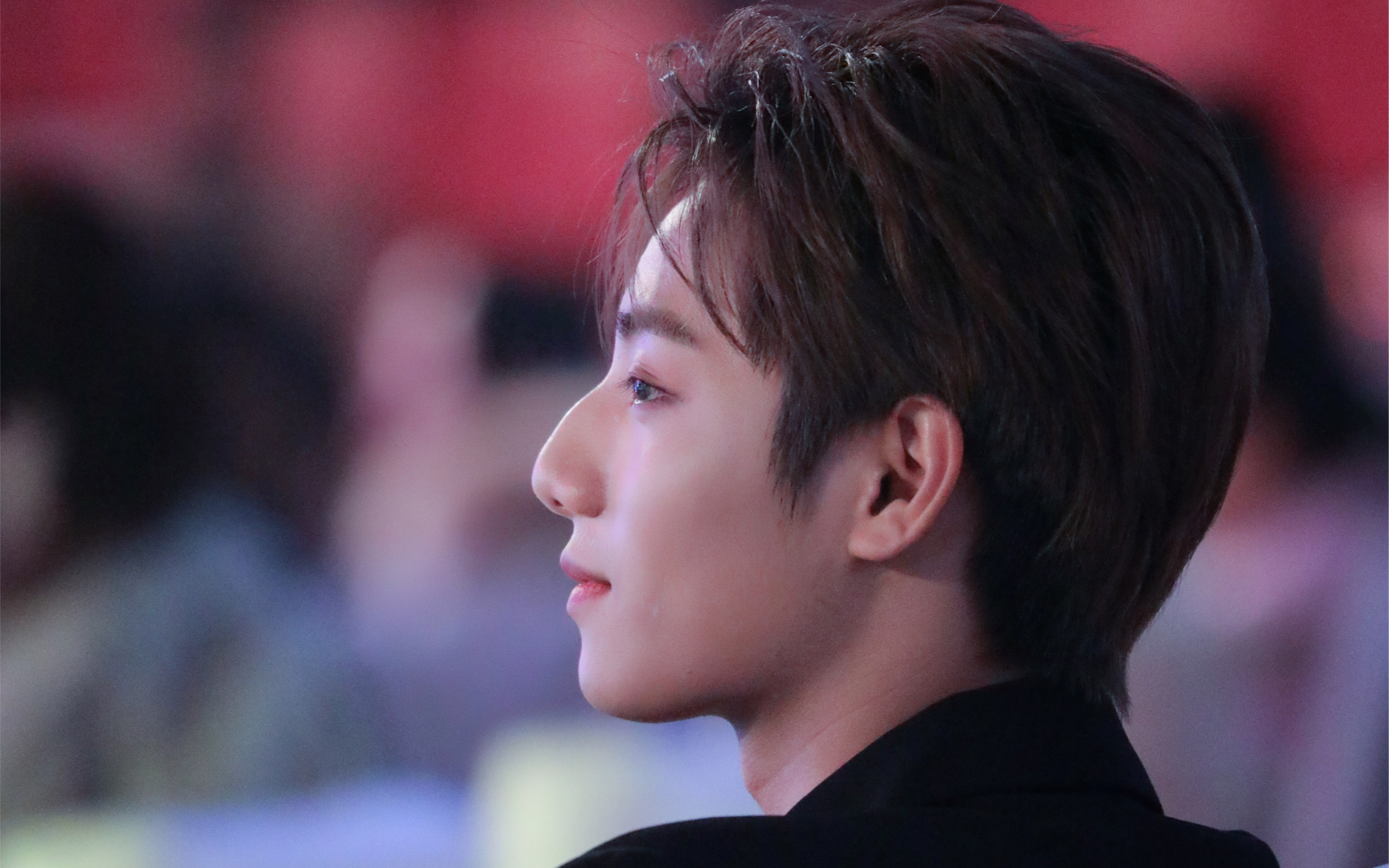 李振宁就静静欣赏绝美侧颜吧