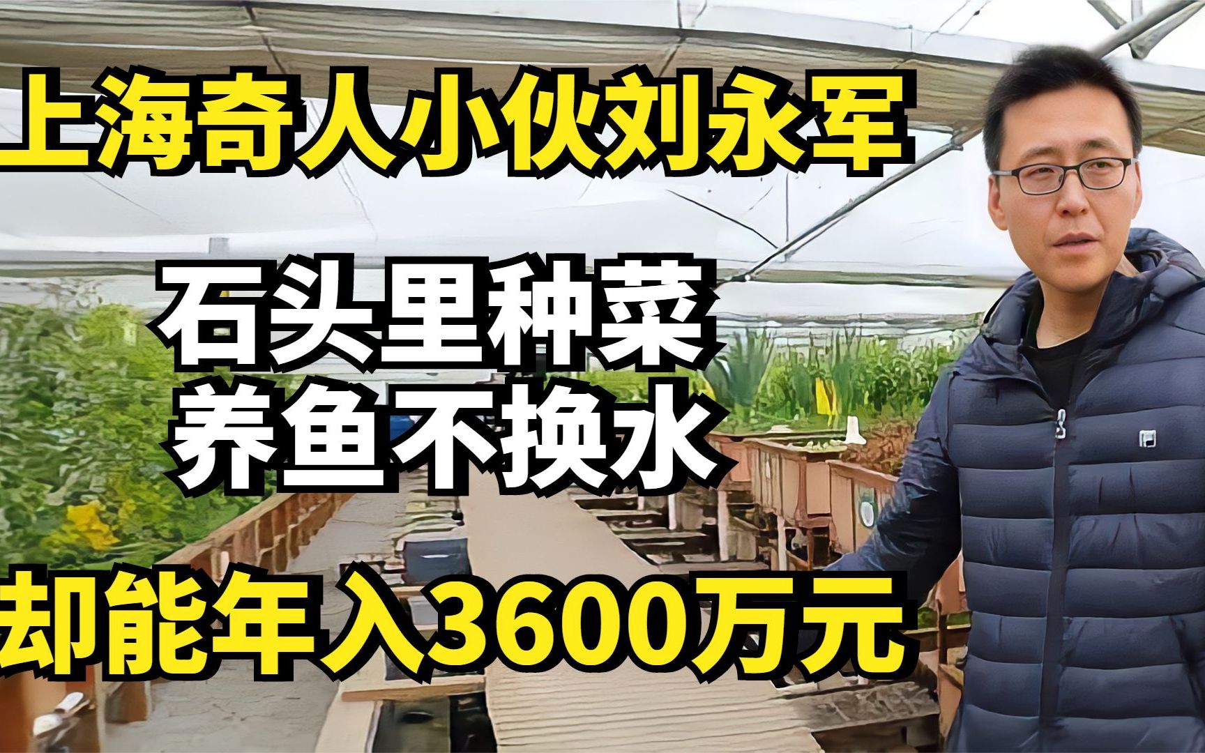 上海奇人小伙刘永军,石头里种菜,养鱼不换水,却能年入3600万元哔哩哔哩bilibili