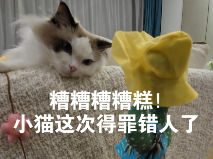 人啊，你有必要这么记仇吗