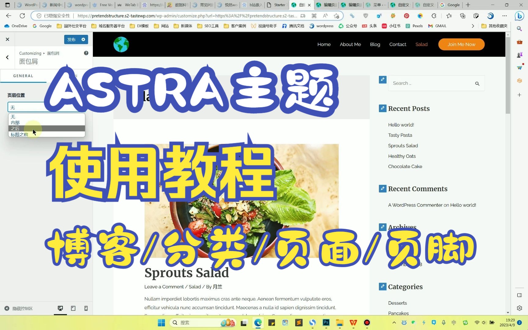 wordpress建站视频教程:ASTRA主题使用教程4 博客/分类/页面/页脚设置哔哩哔哩bilibili