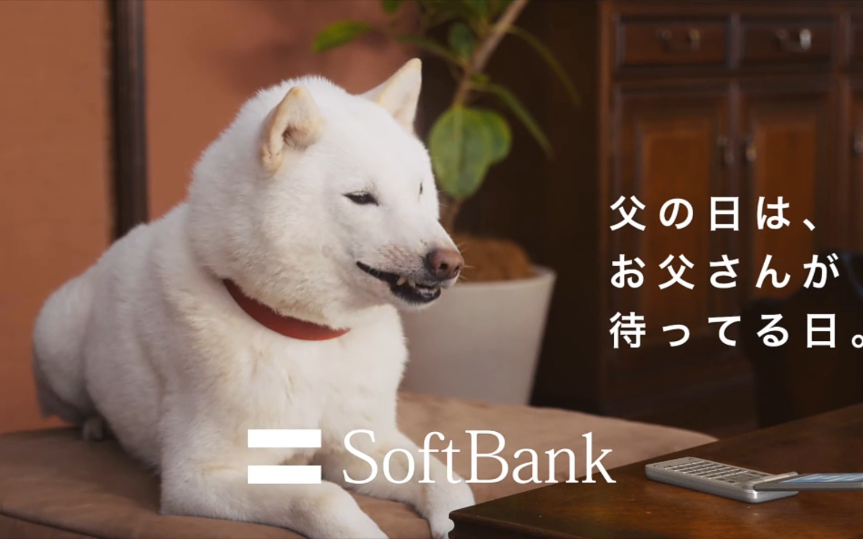 きゅりさま専用白戸家送料値上げ前価格 SoftBankお父さん自転車 白戸家 