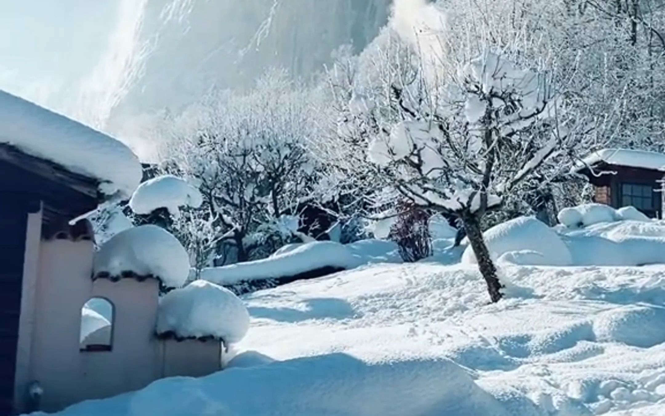 [图]“我好像还没见着雪，冬天就快过去了”