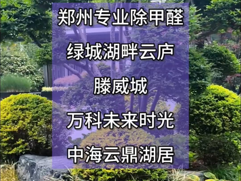 郑州专业除甲醛打卡绿城湖畔云庐;万科未来时光;中海云顶湖居;滕威城
