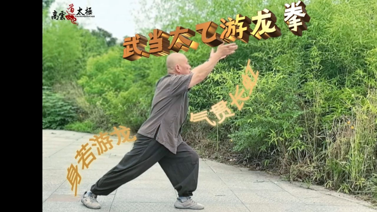 身若游龙 气贯长虹——高云武当太乙游龙拳哔哩哔哩bilibili