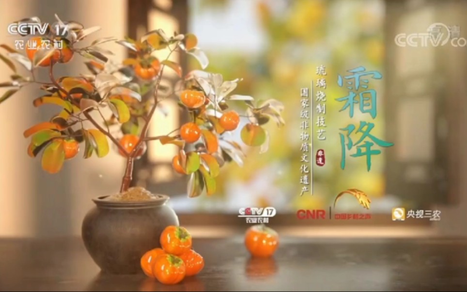 CCTV17 农业农村频道 霜降节气广告 蔬菜传奇宣传片哔哩哔哩bilibili