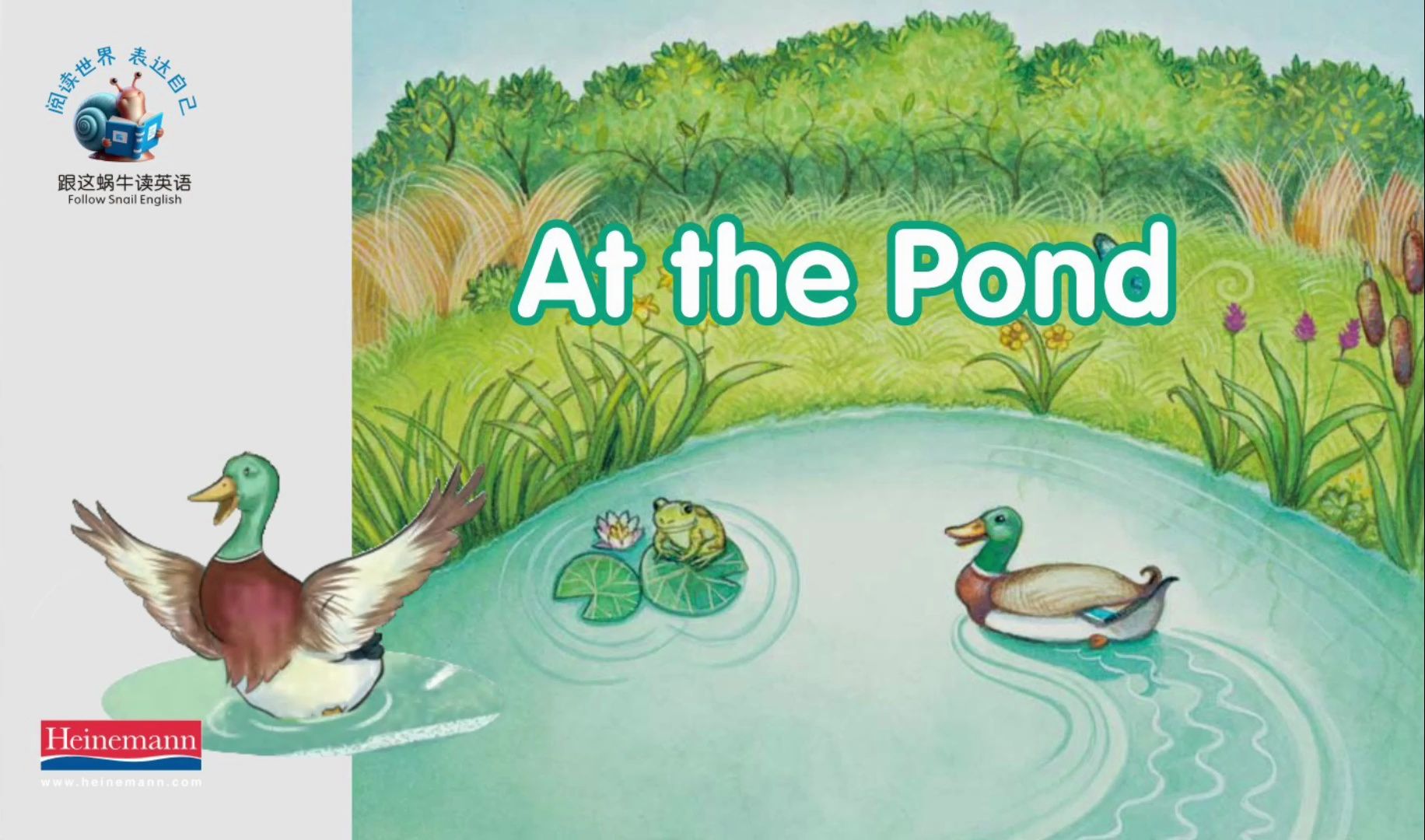 听力四阶第13课泛读1. at the pond