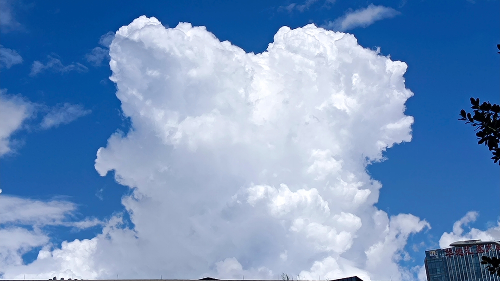 千年一现的立体云!你可曾见过这么蓝的天,这么立体洁白无暇的云?