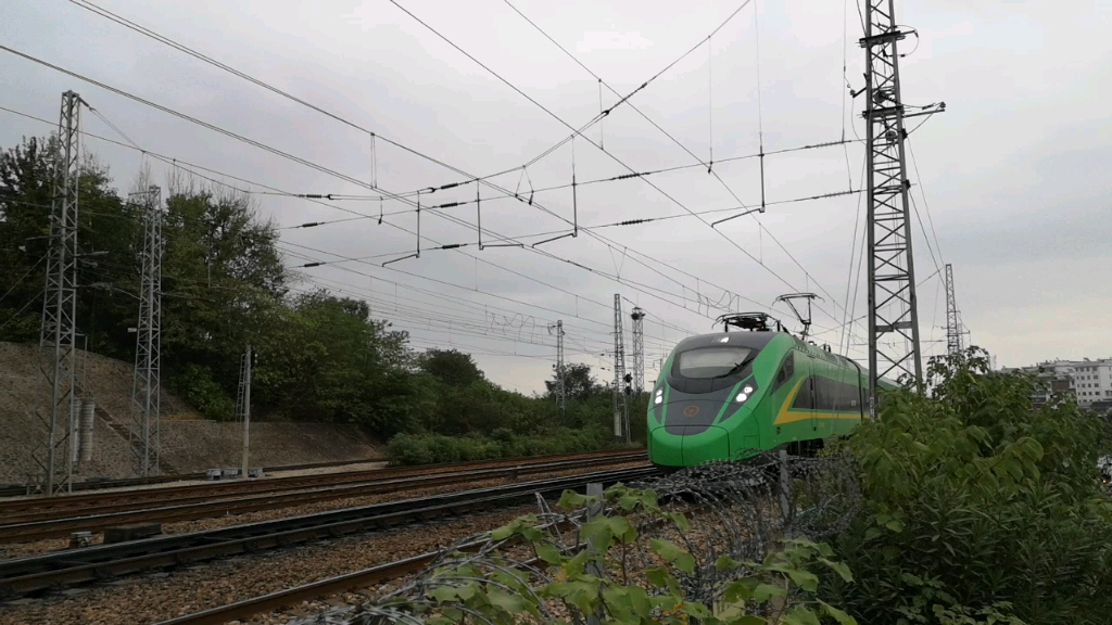 d727次(北京西———深圳)的动车快速经过,我被绿到了