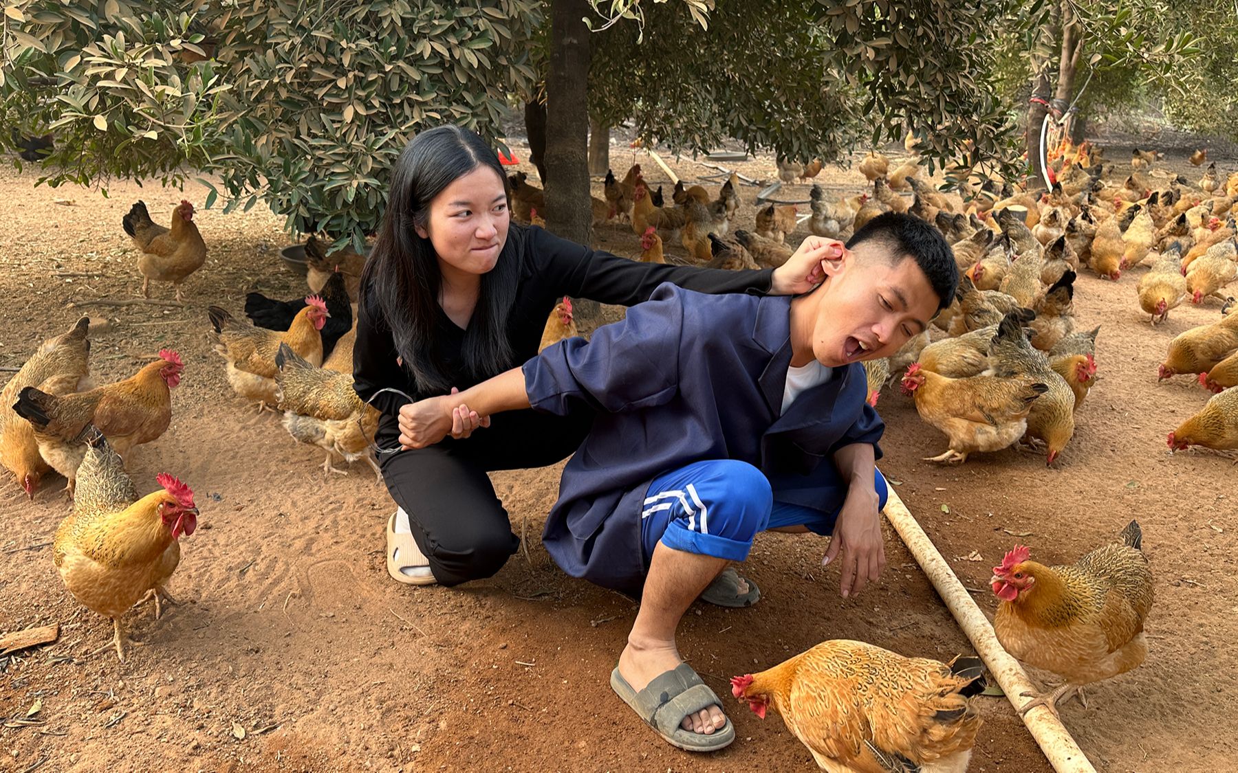 阿旺兄弟买土鸡赊账,一个月都不见还,村花气得直接找上门