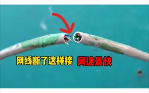 Descargar video: 今天才知道，原来网线断了这样接线网速最快，涨知识了