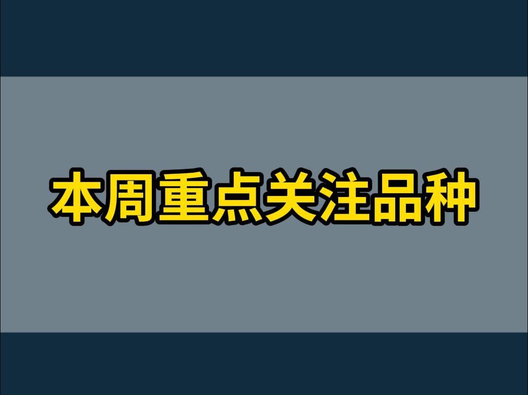 本周重点看什么?哔哩哔哩bilibili