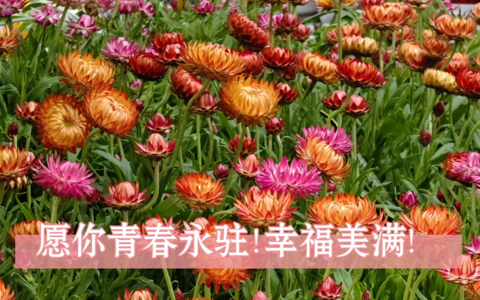 从今往后,人生而立,青春永驻,祝福永远!