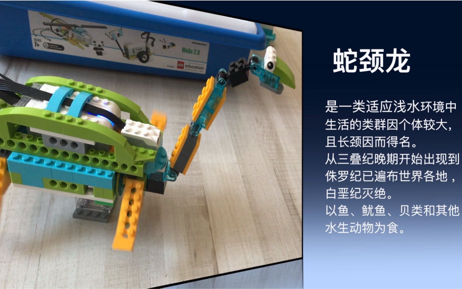 活动作品乐高wedo20蛇颈龙