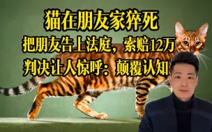 Tải video: 我的猫猝死在你家里，必须赔12万，不然法庭走着瞧！法庭判决让人直呼颠覆认知