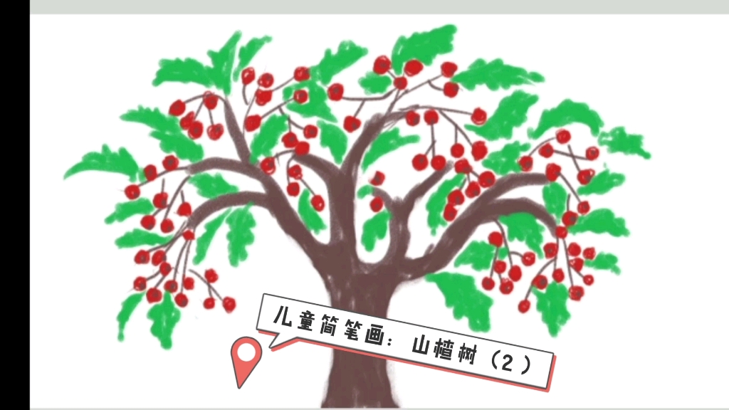 儿童简笔画:山楂树(2)