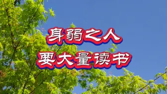 身弱之人，一定要大量读书，读一流的书，看完你就明白了