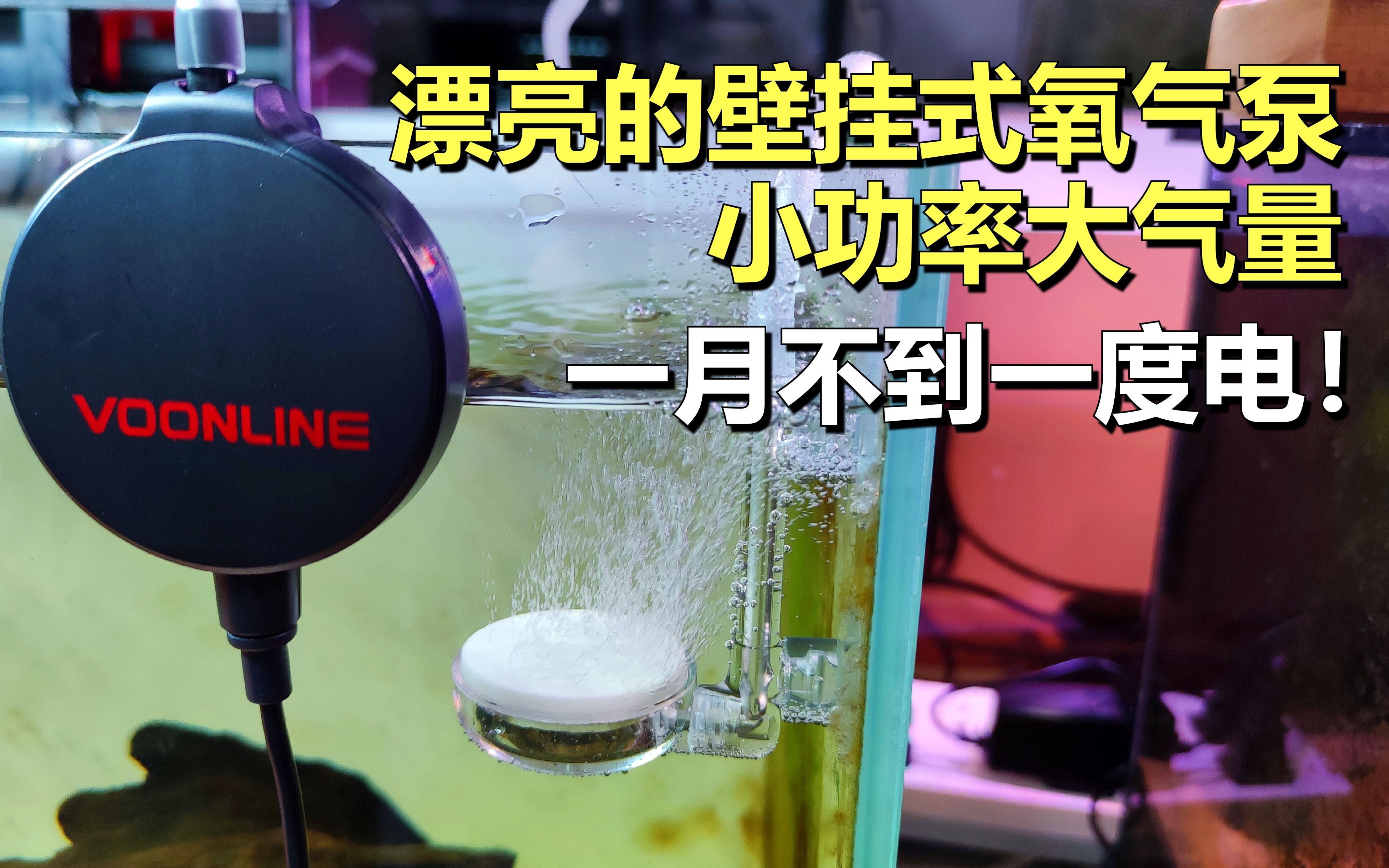 鱼缸氧气泵也有壁挂式:小巧玲珑超漂亮,这大气量其实1个月不到1度电!哔哩哔哩bilibili