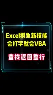 Download Video: VBA代码生成器-查找返回整行