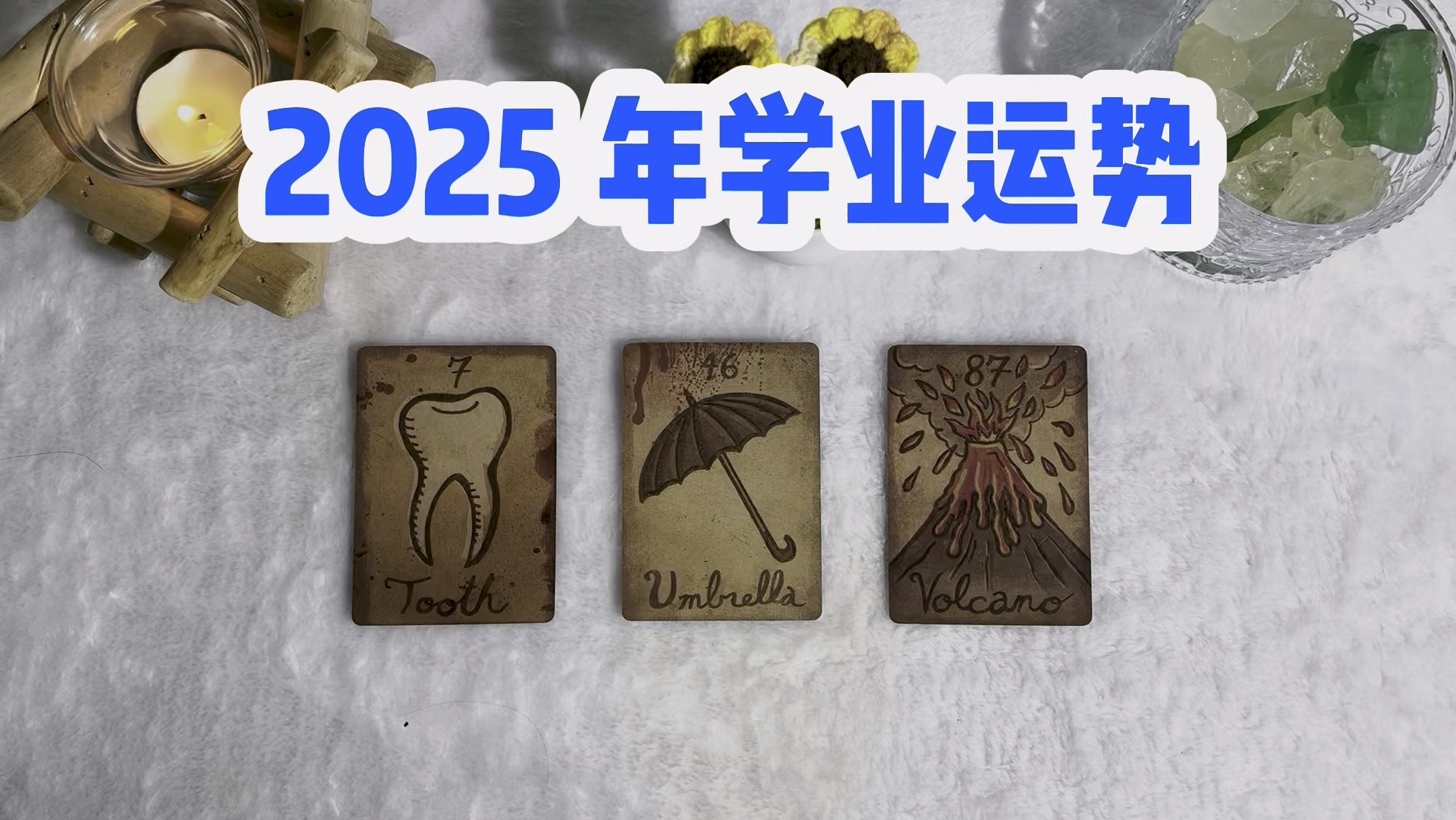 2025 年学业占卜哔哩哔哩bilibili