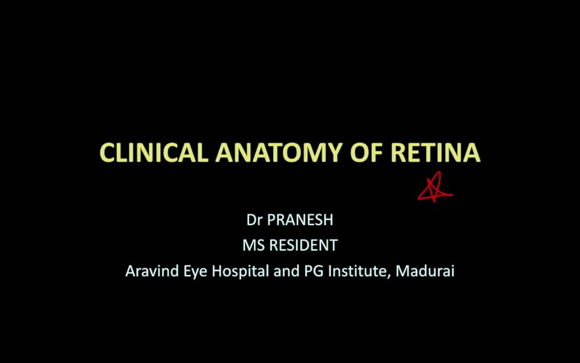 [图]【中英双字】【视网膜】High Yield Topic - Clinical Anatomy of Retina