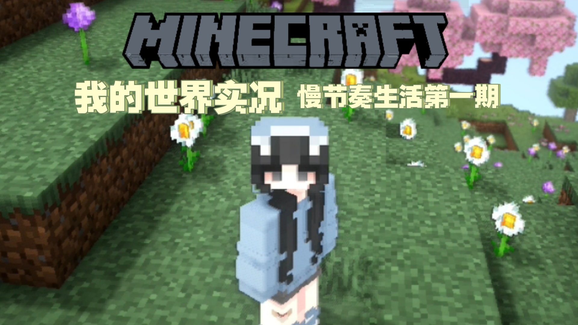 【Minecraft】☆我的世界实况慢节奏生活第一期☆没有队友,全靠实力:D我的世界