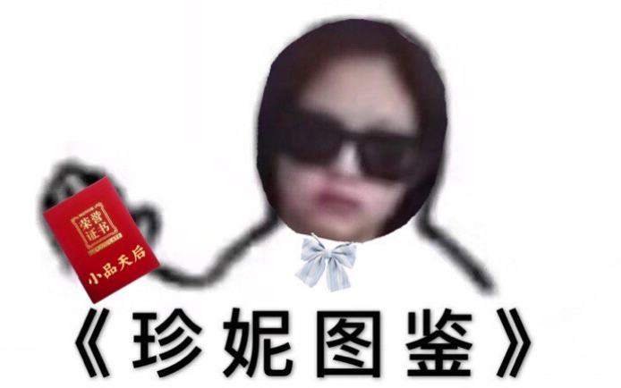 【JENNIE】珍 妮 图 鉴哔哩哔哩bilibili