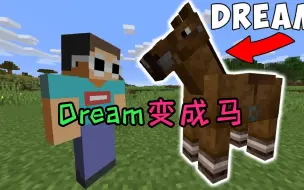 Download Video: 我的世界：Dream变成马通关mc