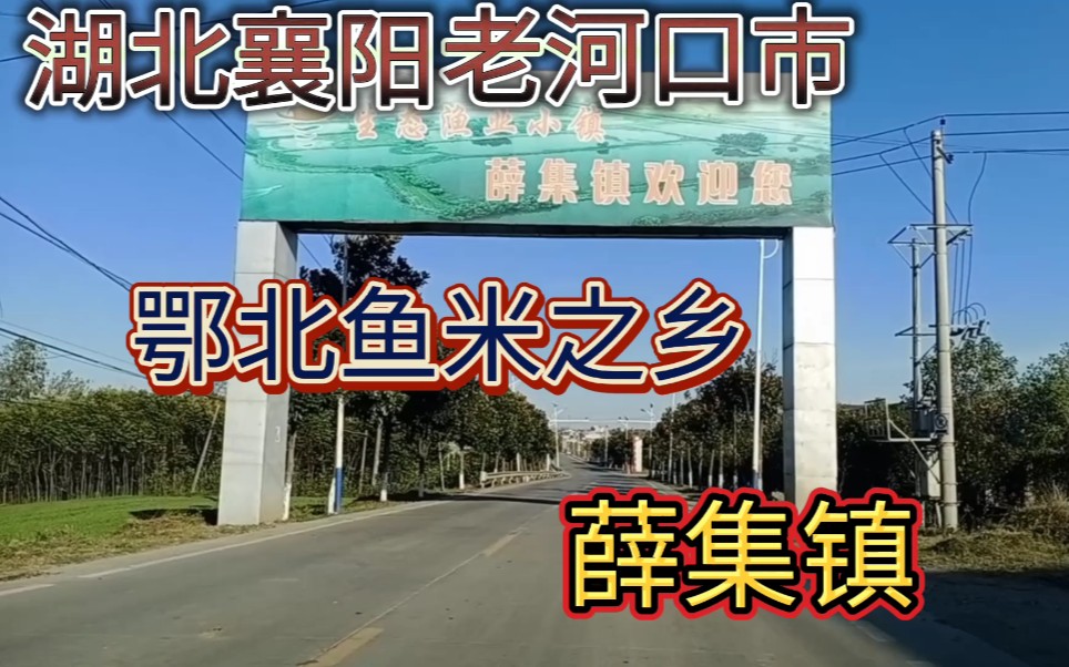 湖北襄阳:鄂北鱼米之乡,老河口市薛集镇!哔哩哔哩bilibili