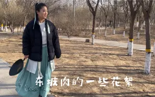 Download Video: 东坡肉的一些花絮