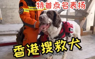 Download Video: 赴云南考察交流后，香港搜救犬要大变样了！