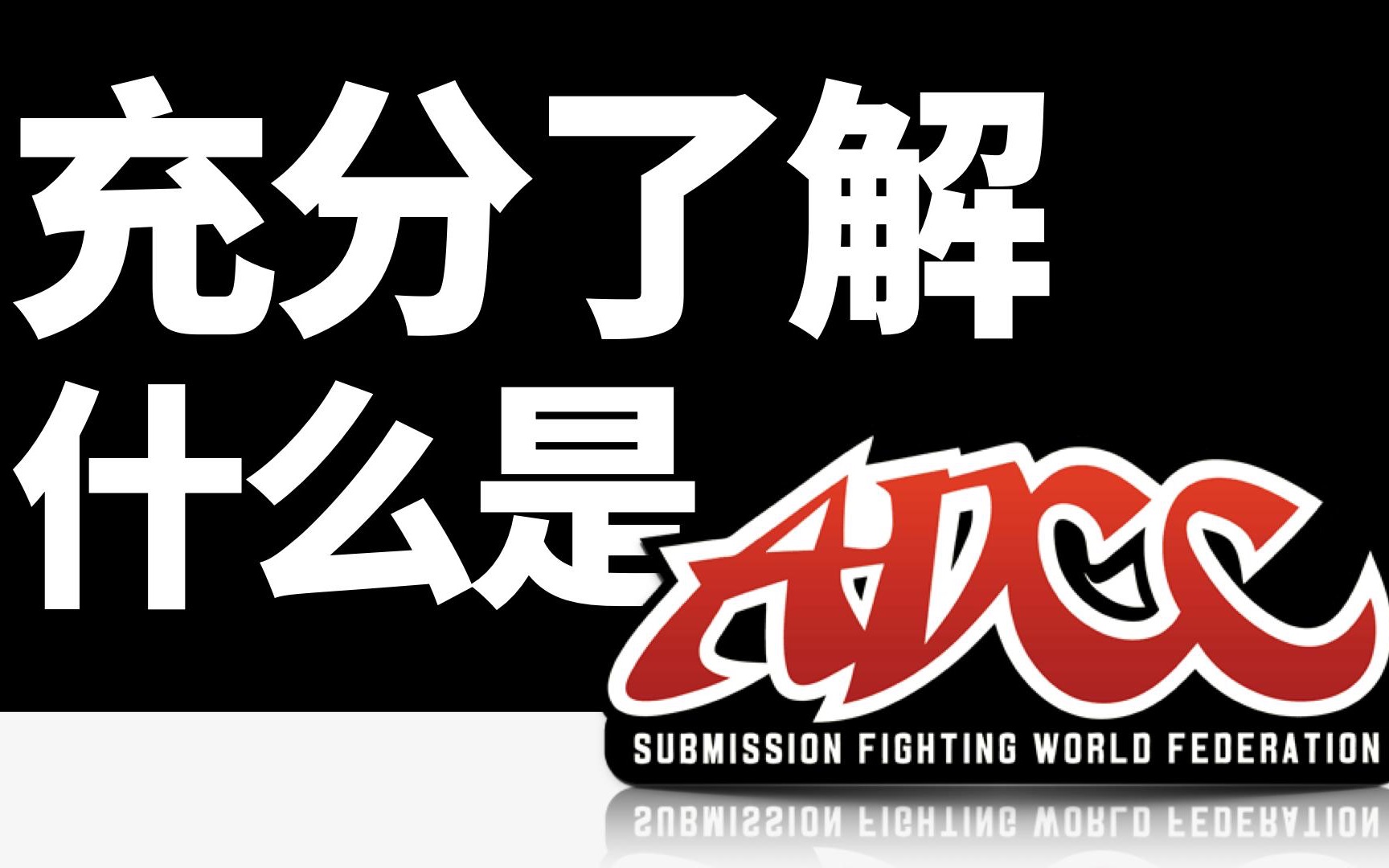 【ADCC全面赛事解读】快速了解当今世界第一缠斗赛事哔哩哔哩bilibili