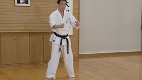 掌底の顔面攻防 大石代悟最高師範 哔哩哔哩 つロ干杯 Bilibili