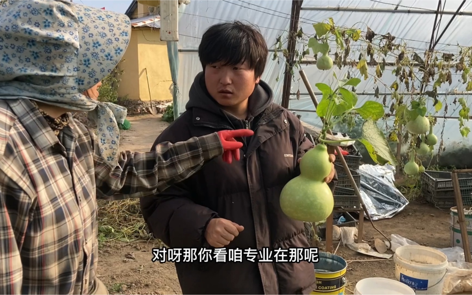 中朝边境农村,去老乡家买了10个葫芦花200元,明年我也种点葫芦哔哩哔哩bilibili