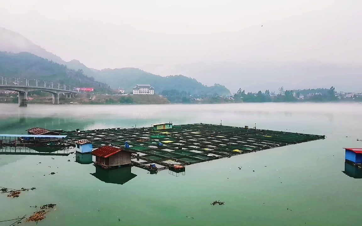 烟雨桂江昭平最美,长寿之乡三月烟雨是春天,航拍广西昭平县梦幻烟雨宛如仙境!哔哩哔哩bilibili