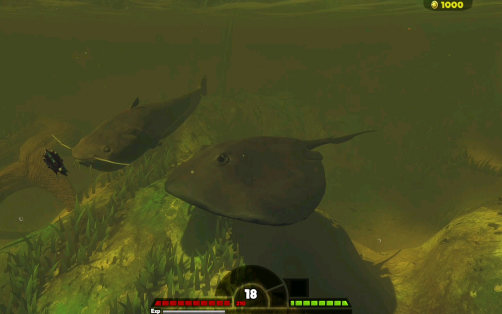 海底大猎杀——沼泽图鳐鱼成神,输出不够,尾刺来凑