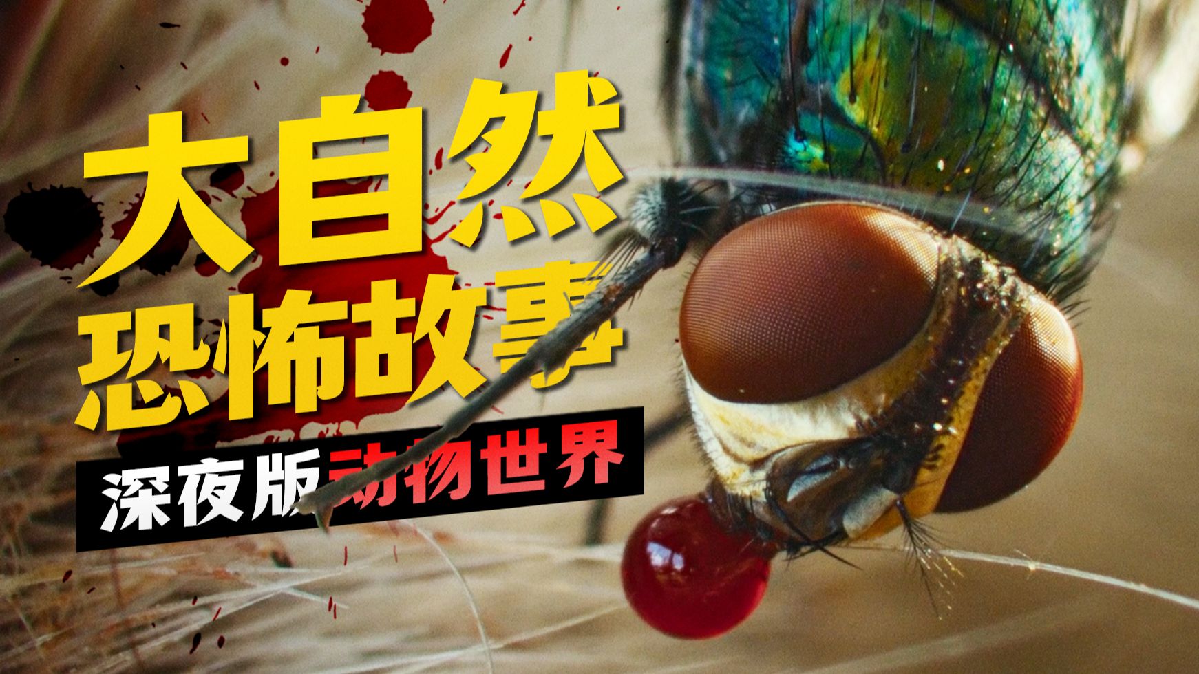 比鬼片还可怕！把动物世界拍成恐怖片什么感觉？《大自然恐怖故事》