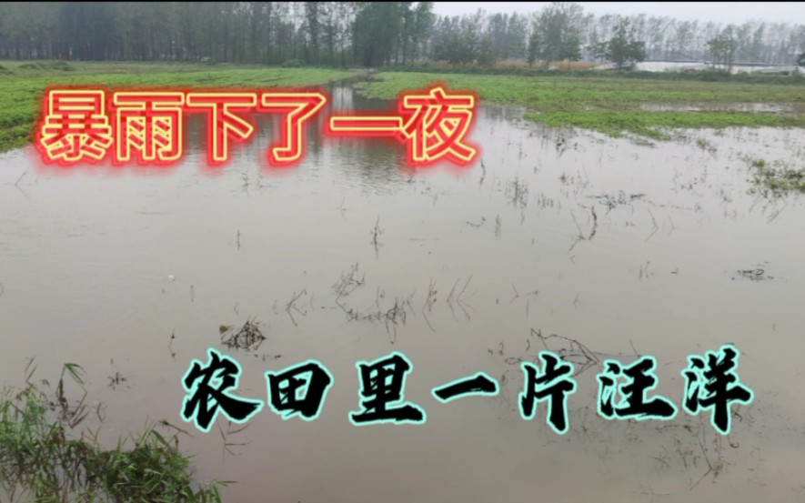 山东曹县,农田被淹路基冲毁,连电线杆都倒了,看看这场雨有多大哔哩哔哩bilibili