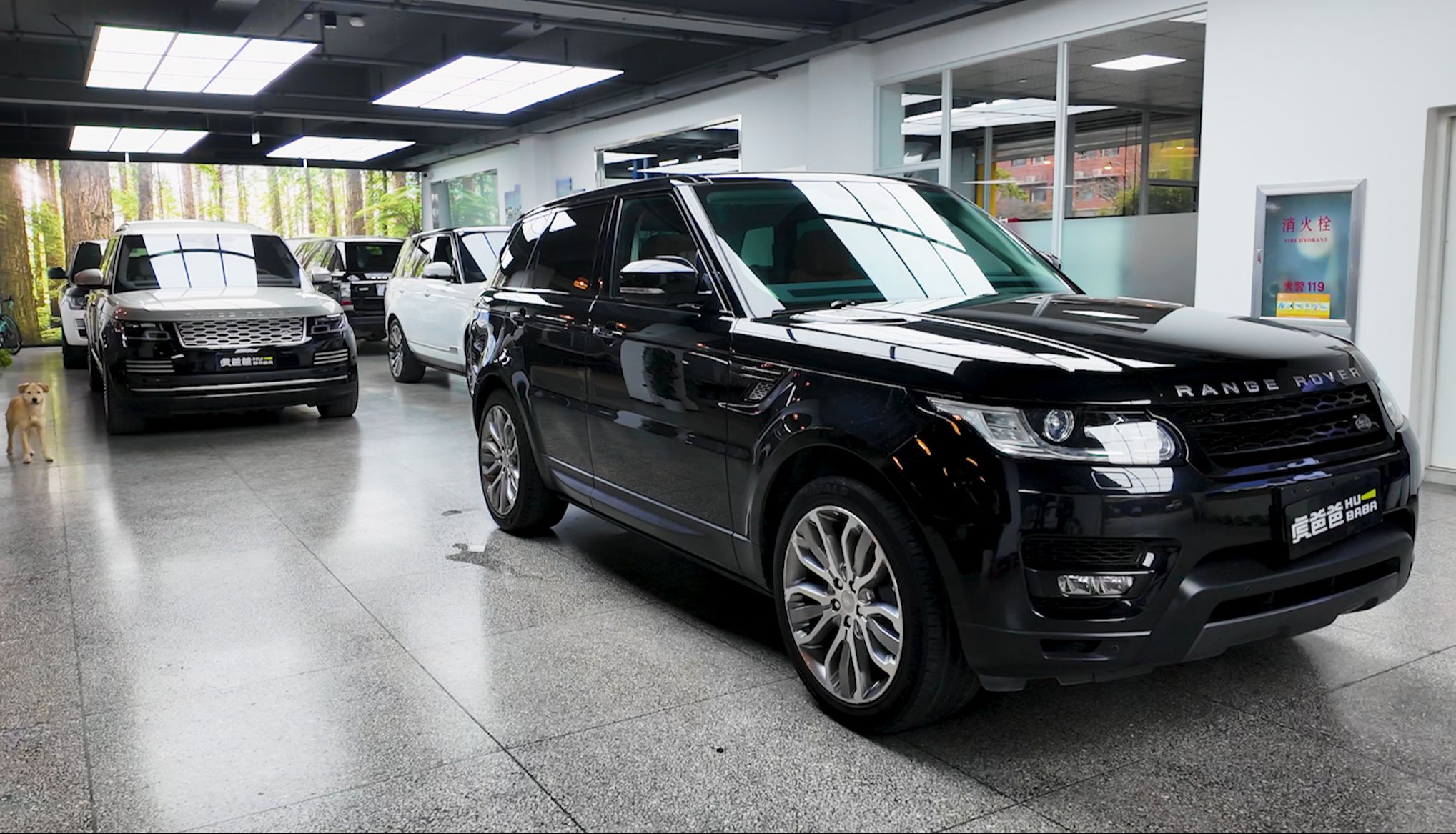 路虎揽胜行政该怎么选?3.0汽油,柴油和5.0t发动机大推荐