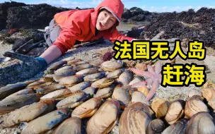 Download Video: 法国无人岛赶海，海参鲍鱼随便捡，紫色海胆美味鲜