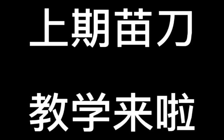 【武打演员/武替】你们要的戚家刀教学慢动作来啦哔哩哔哩bilibili