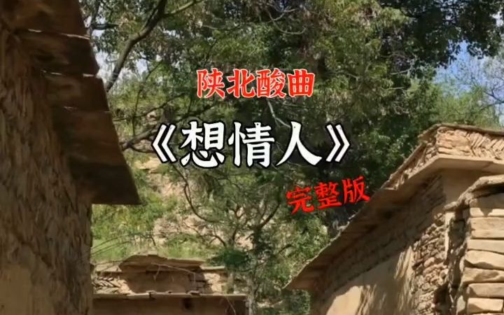 陕北酸曲《想情人》完整版哔哩哔哩bilibili